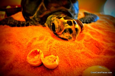 Tate & Lyle turtle